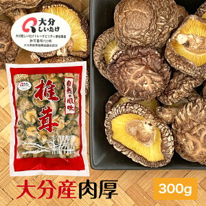 ő 啪Y  300g TCY e ؍͔| _( Y 啪Y VC^P   VC^P ő G^fj )