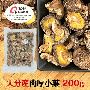 ő 啪Y t 200g e ؍͔| _( Y 啪Y VC^P   VC^P ő )