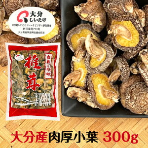 ő 啪Y t 300g e ؍͔| _( Y 啪Y VC^P   VC^P ő )
