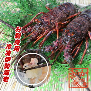 伊勢海老の通販 価格比較 価格 Com