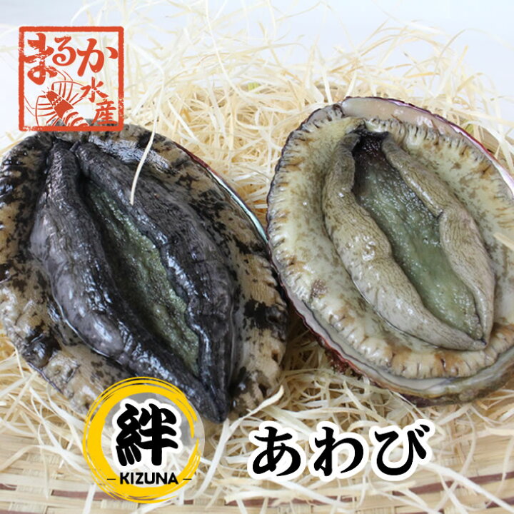 楽天市場 絆あわび 天然黒赤あわびのつがいセット ｓサイズ 各130ｇ 170ｇ あわび まるか水産楽天市場店