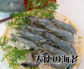 天使の海老　Mサイズ　生食用　30/40サイズ　1kg 冷凍 [魚介類]