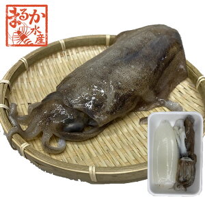 アオリイカ 魚介類の人気商品 通販 価格比較 価格 Com アオリイカ 魚介類の人気商品 通販 価格比較 価格 Com
