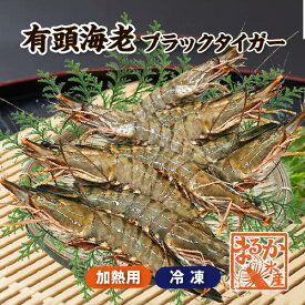 冷凍 有頭ブラックタイガー[冷凍海老]