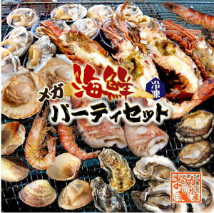 CNo[xL[ Kp[eBZbg ɐCVM2 LCV10 z^e10 CJ4 ͂܂10 AT1kg y20 ы5 [ⓀBBQ]