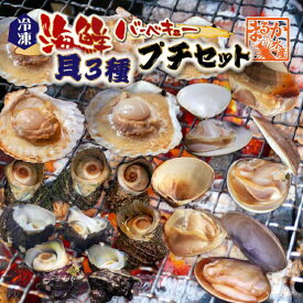 海鮮バーベキュー 貝3種プチセット（ホタテ5・はまぐり5・さざえ8）★[冷凍BBQ]