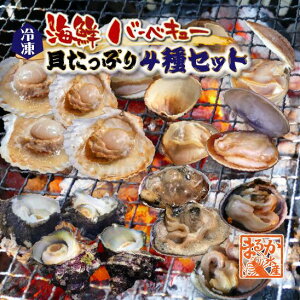 CNo[xL[ LՂ4Zbgiz^e10E͂܂10E16EAT1kgE^j[ⓀBBQ]