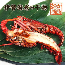 伊勢海老の干物（冷凍） [特選干物]