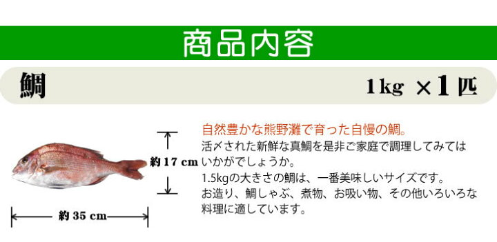 楽天市場 真鯛 普通サイズ 捌いてお届けできます 1 0ｋｇ 魚介類 まるか水産楽天市場店