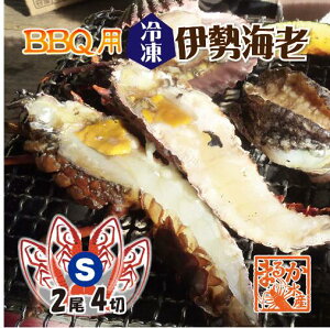 BBQp ⓀɐCV 160`200g STCY n[tJbg [YɐCV]