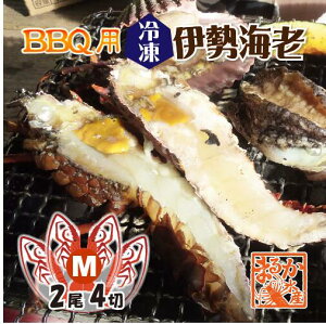 BBQp ⓀɐCV 200`230g MTCY n[tJbg [YɐCV]