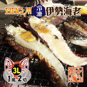 BBQp ⓀɐCV 500`600g 3LTCY n[tJbg 12ؓ [YɐCV]