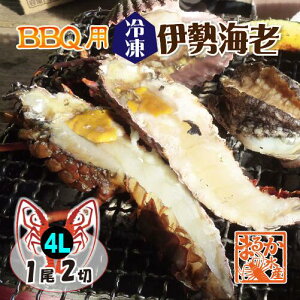 BBQp ⓀɐCV 600`800g 4LTCY n[tJbg 12ؓ [YɐCV]