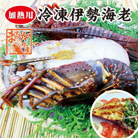 伊勢海老　冷凍（加熱用）　特大（600～800g）1尾　　[魚介類]　（活〆冷凍）