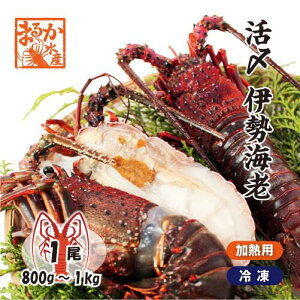 YɐCViⓀMpjTCY 1 800g`1kg [ⓀɐCV]