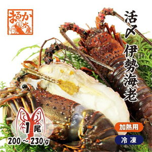YɐCViⓀMpjTCY 1 200`230g [ⓀɐCV]