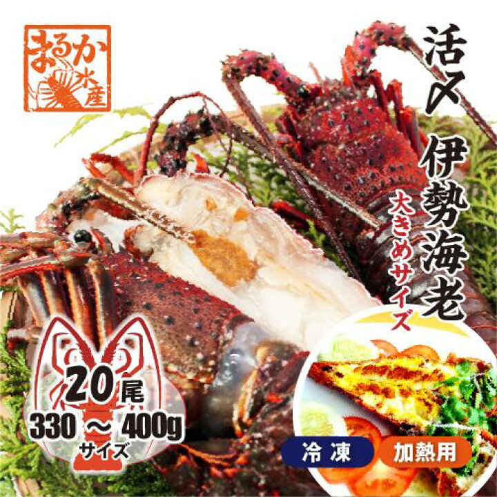 楽天市場】□活〆伊勢海老（冷凍加熱用）大きめサイズ 330〜400g [冷凍 