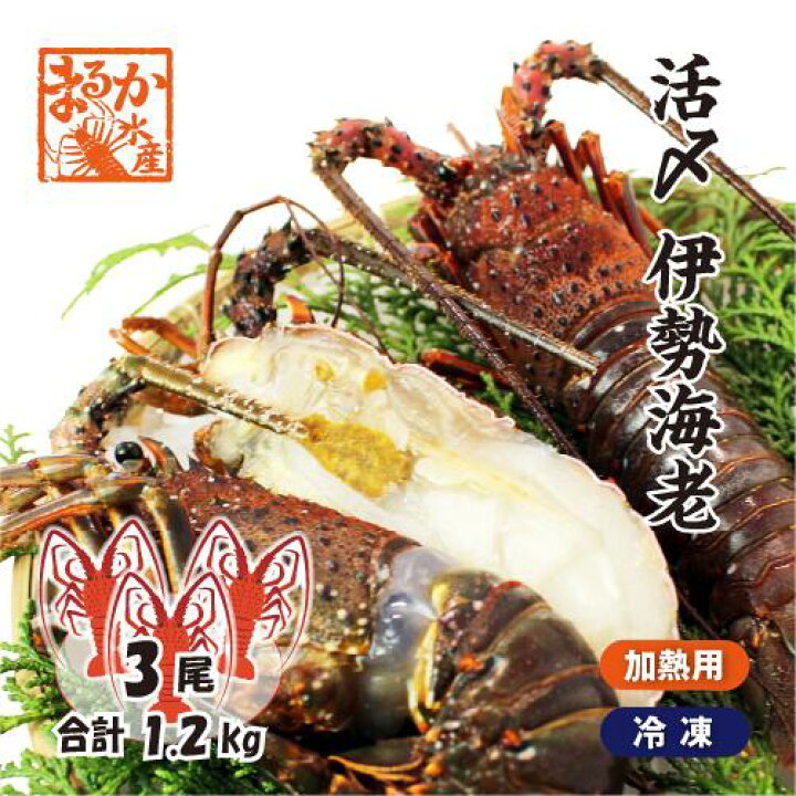 楽天市場】活〆伊勢海老（冷凍加熱用）大サイズ 3尾入 1.2kg 送料無料  