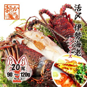 YɐCViⓀMpjXTCY 90`120g [ⓀɐCV]