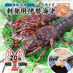 hgpɐCV Ⓚ TCY 1 400`500g [hgpɐCV]