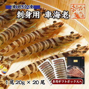 �h�g�p�ԊC�V �����Ⓚ 20g [�Ⓚ�ԊC�V]