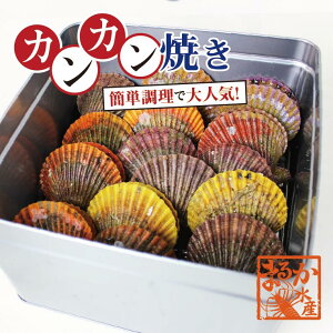 ヒオウギ貝の人気商品 通販 価格比較 価格 Com ヒオウギ貝の人気商品 通販 価格比較 価格 Com