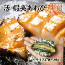 活 蝦夷あわび 70～80g Sサイズ [あわび]