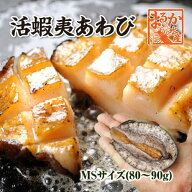 活 蝦夷あわび 80〜90g MSサイズ[あわび]