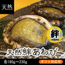 絆あわび　（天然黒赤あわびのつがいセット）Mサイズ　各180g〜230g[あわび] ランキングお取り寄せ