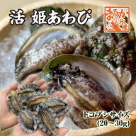 活 姫あわび 20〜30g [あわび]