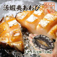 活蝦夷あわび 120〜130g Lサイズ[あわび]