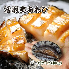 活 蝦夷あわび 100g Mサイズ [あわび]