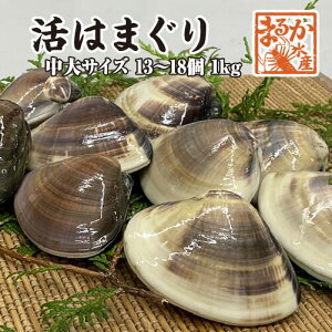 ͂܂ TCY 50`80g Y [͂܂]