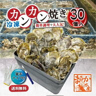 □【牡蠣のカンカン焼き】冷凍 殻付き牡蠣／桃こまち 30個 [牡蠣]