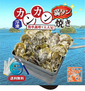 yỹJJ^ĂzⓀ kty^܂ MSTCY 3kg[y]