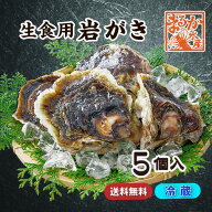 生食用 岩がき Lサイズ(250/300g）軍手・ナイフ付★[イタボ牡蠣]（入数:5個）