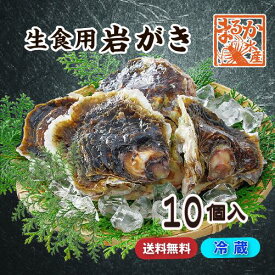 生食用 岩がき Lサイズ(250/300g）10個（軍手・ナイフ付）★[イタボ牡蠣]