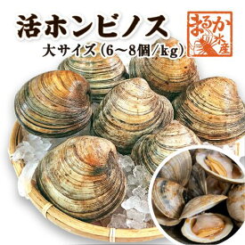 活 ホンビノス貝 大サイズ（6～8個）