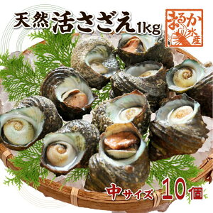 VR  TCY 1kg 10 70`110g []