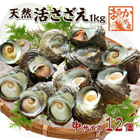 天然活 さざえ 中サイズ 1kg 12個 70～110g [さざえ]