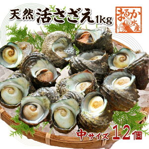 VR  TCY 1kg 12 70`110g []