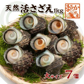 天然活 さざえ 大サイズ 1kg 7個 140～180g [さざえ]
