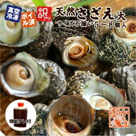 □冷凍 天然さざえ ボイル済 訳あり（サイズ不揃い） 特製たれ付 [ボイルサザエ]（100〜180g×5〜8個入