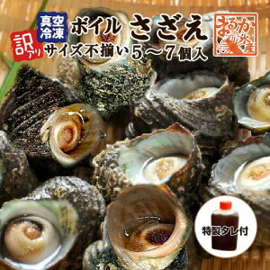 Ⓚ VR {C 󂠂iTCYsj90`180g/5`7 t [{CTUG]