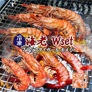 CNo[xL[ CVWZbgiubN^CK[5EԂ10j[ⓀBBQ]