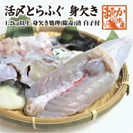 活とらふぐ身欠き 1.2kgサイズ 身欠処理（除毒）済/ 白子付 [活河豚]