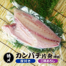 活〆カンパチ 片身 捌いてお届け！ 三枚おろし 皮付き 3.5～4.0kgサイズの半分（養殖）[魚介類]