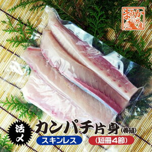 YJp` Аg JĂ͂I XLX Z4 3.5`4.0kgTCY̔i{Bj[]