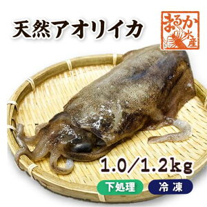 天然アオリイカ　国産　LLサイズ 1.0/1.2kg 冷凍[魚介類]