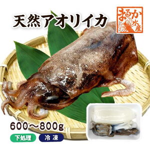 VRAICJ@Y@MTCY@600/800gⓀ[]